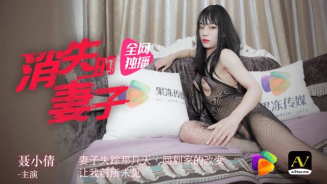消失的妻子 聂小倩 果冻传媒